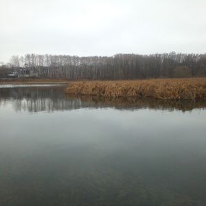Рибалка Данііл 🎣
