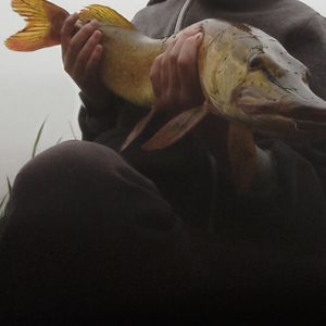 Ілля IL fishing