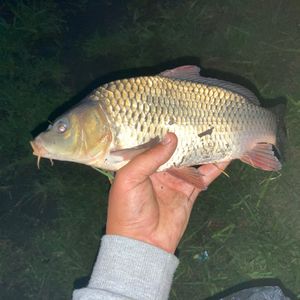 Андрій