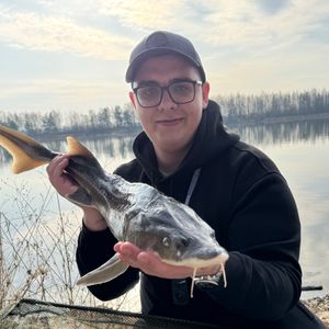 Сергій