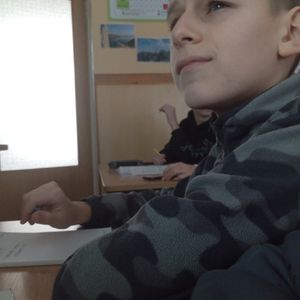 babuin