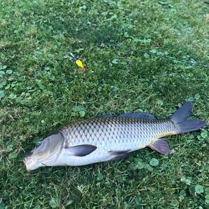 _fishing_fisherman_