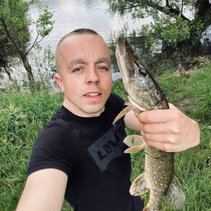 Коля Сенчук