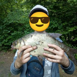 TarasKaras