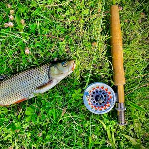 Vlad fly fishing