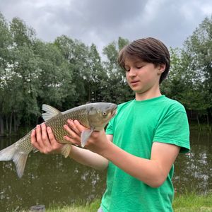 Mark 🎣