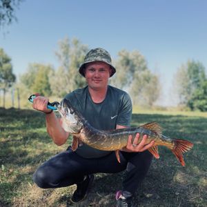 Антон