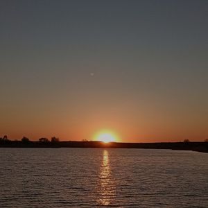 BEBRA