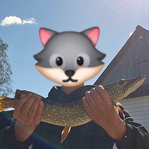 Кирилло Київський 