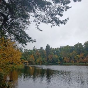ЛовисьРибкаІВеликаІМаленька
