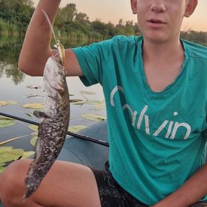 Кирило KremenFish 