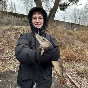 Некита