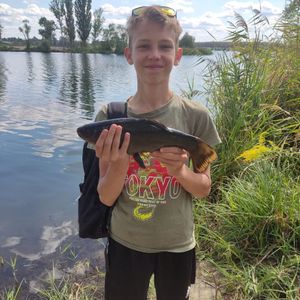 Артем