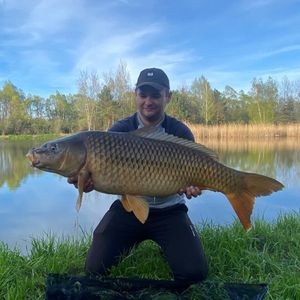 RoyalCarp