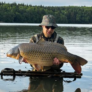 Ivan
