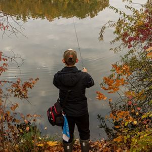 Bob Baits