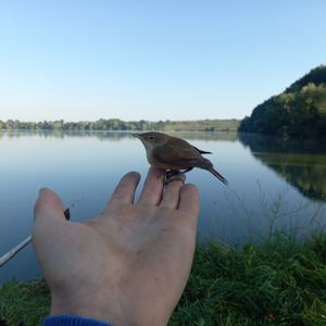 Віталій