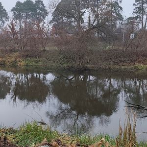 Рома
