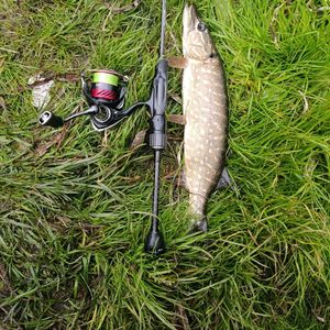 ArsenTernopilFisher🎣