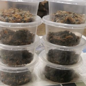 Veikals Ecoworms
