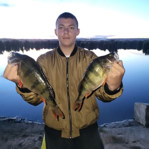 Олександр