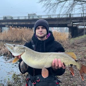 Anton🎣