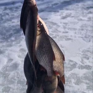 Рибак на Росі🎣