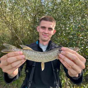 Oleksandr01