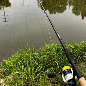 VivANchek