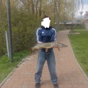 Ігор Супрунов