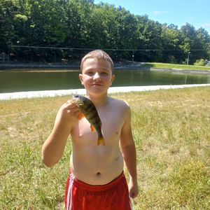 fishing данік