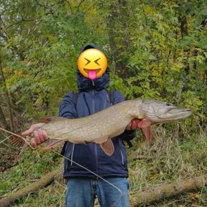 Fisherman