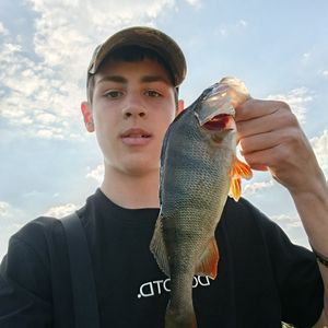 makar