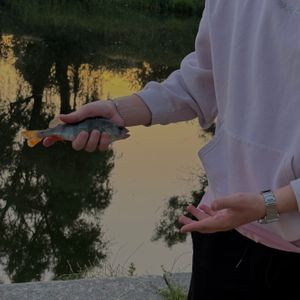 Ilya