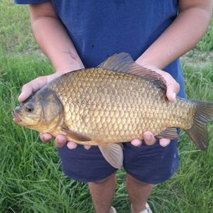 Влад