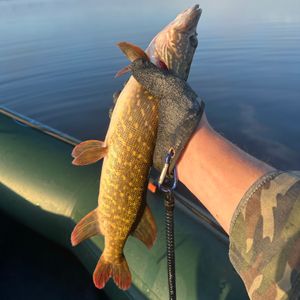 Рекультивація 