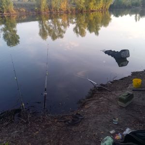 Антон