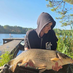 Maksym