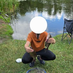 feeder guy