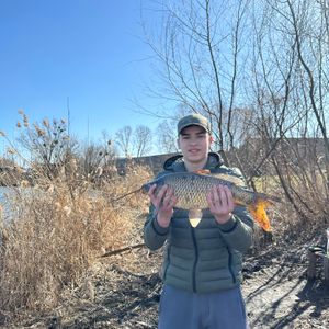 Nazar fishing