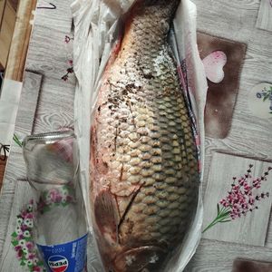 Дітковецький Став