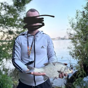 Тернопільський став