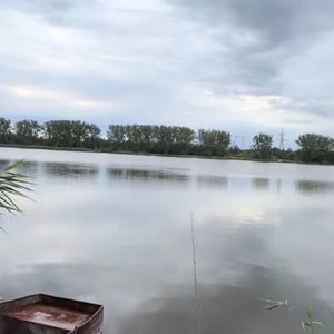 Добротвірське водосховище