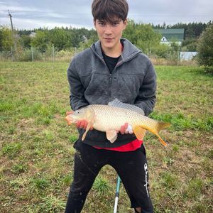 Плахтянка