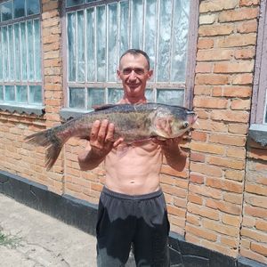 Чичиклія