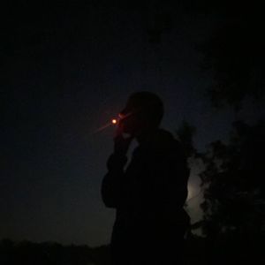 FireShot
