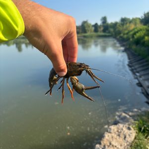 Станіславчик