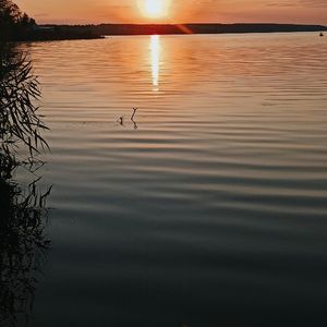 Глядки