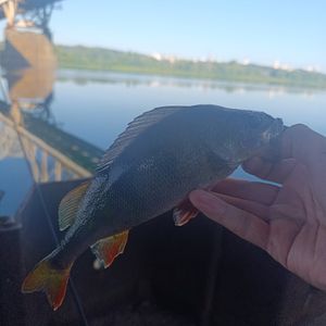 Дніпровська набережна