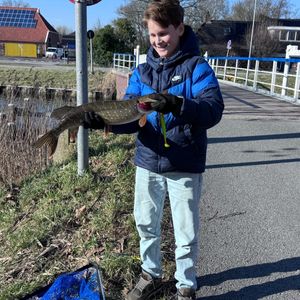 Noordwillemskanaal bij Aldi